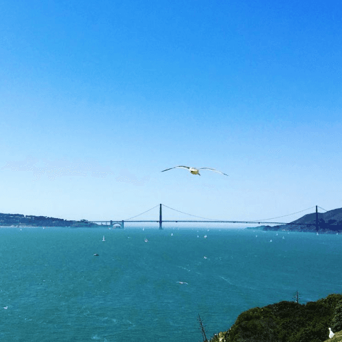 California thumbnail